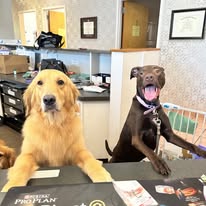 Gentle Care Animal Hospital at Ten Ten
